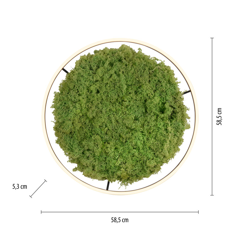 5-Light 35cm Flush Mount