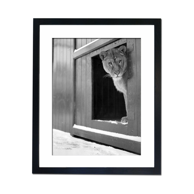 Single Picture Frame Print