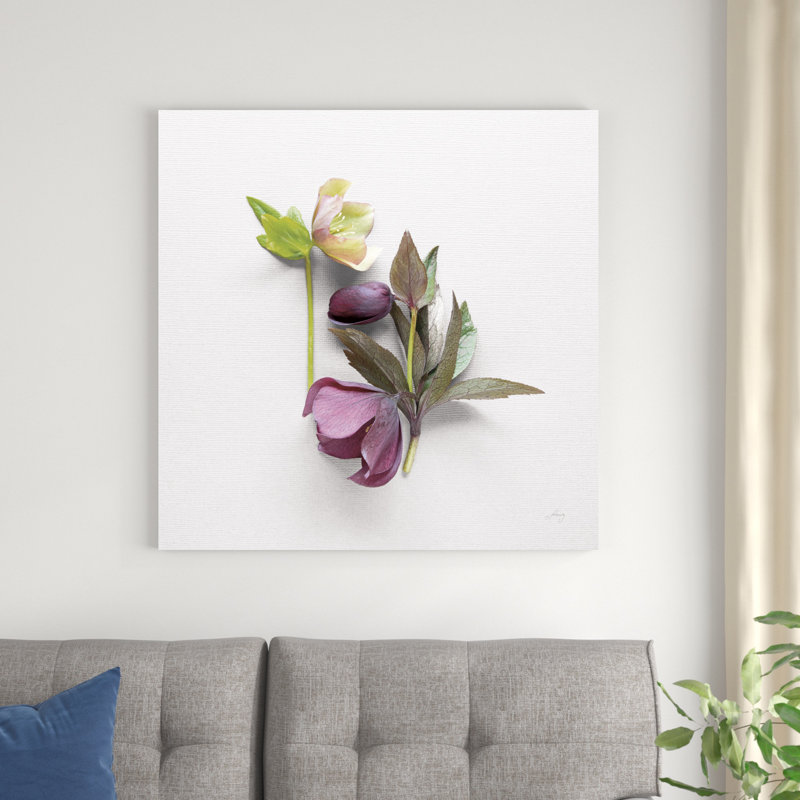 Hellebore Study VII, H 36 po x l 36 po x P 1,25 po