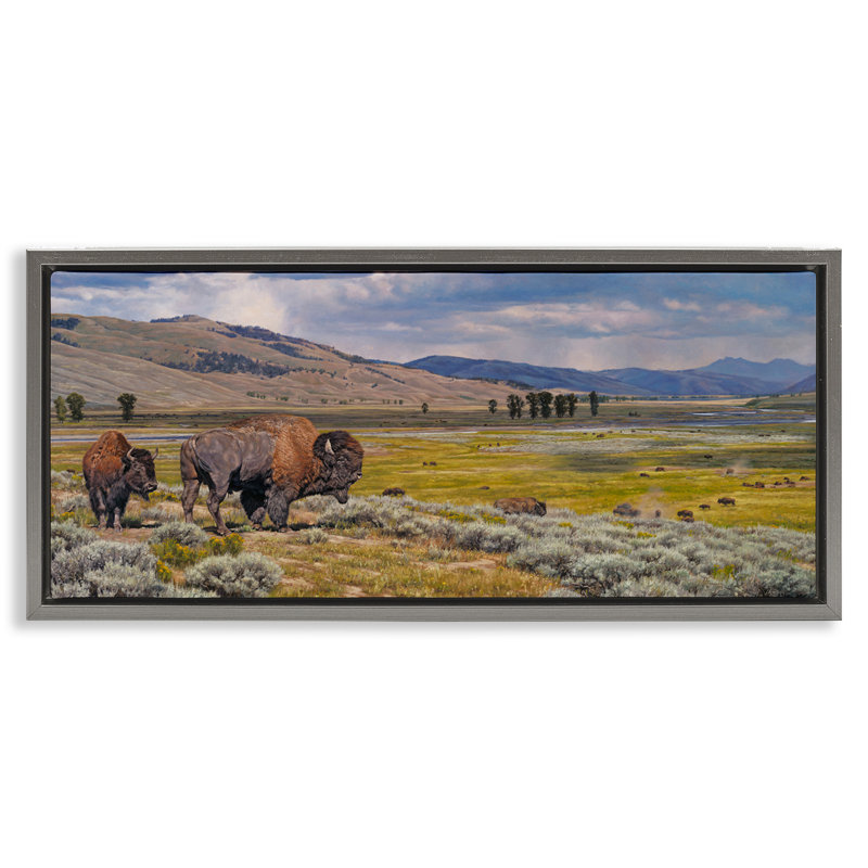 Art mural sur toile flottant Roisson Southwestern Bison par David Graham, Cadre flottant gris lustré, H 11 po x l 25 po