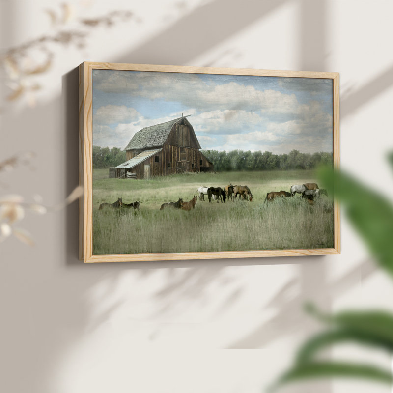 Serenity Pasture -Framed Print - Restickable, Natural, 22" H x 28" W