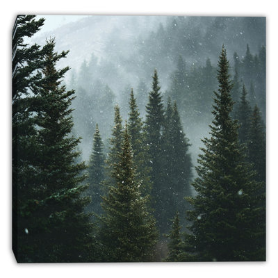 Art mural sur toile Calm Winter Woodland
