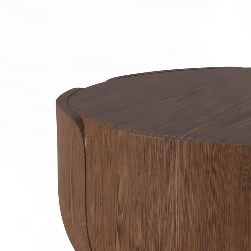 Table basse ronde d'intérieur pour l'extérieur, conception moderne à grain de bois, robuste et imperméable, sans assemblage, idéale pour le patio et le salon