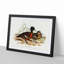 Chesnut-breasted Ducks by Elizabeth Gould - Picture Frame Painting Print-55536224-55536223