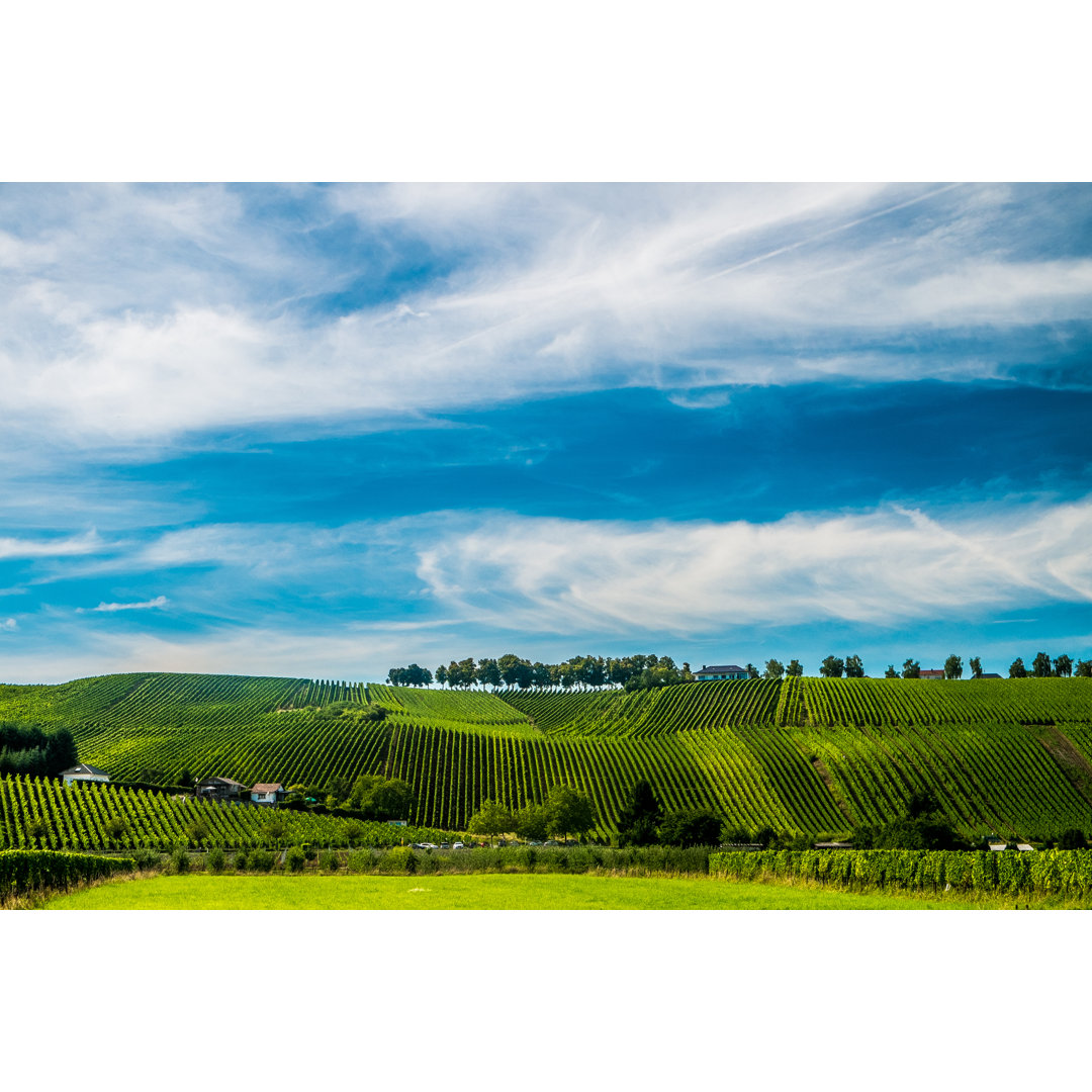 Leinwandbild Weinberge an der Mosel, Luxemburg