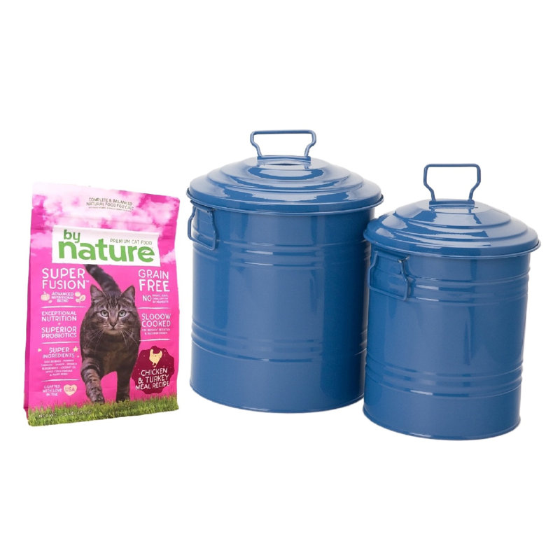 2 Piece Enameled Galvanized Steel Bucket Set, Blue