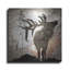 «Calling Elk» par Lightbox Journal sur métal-588566992