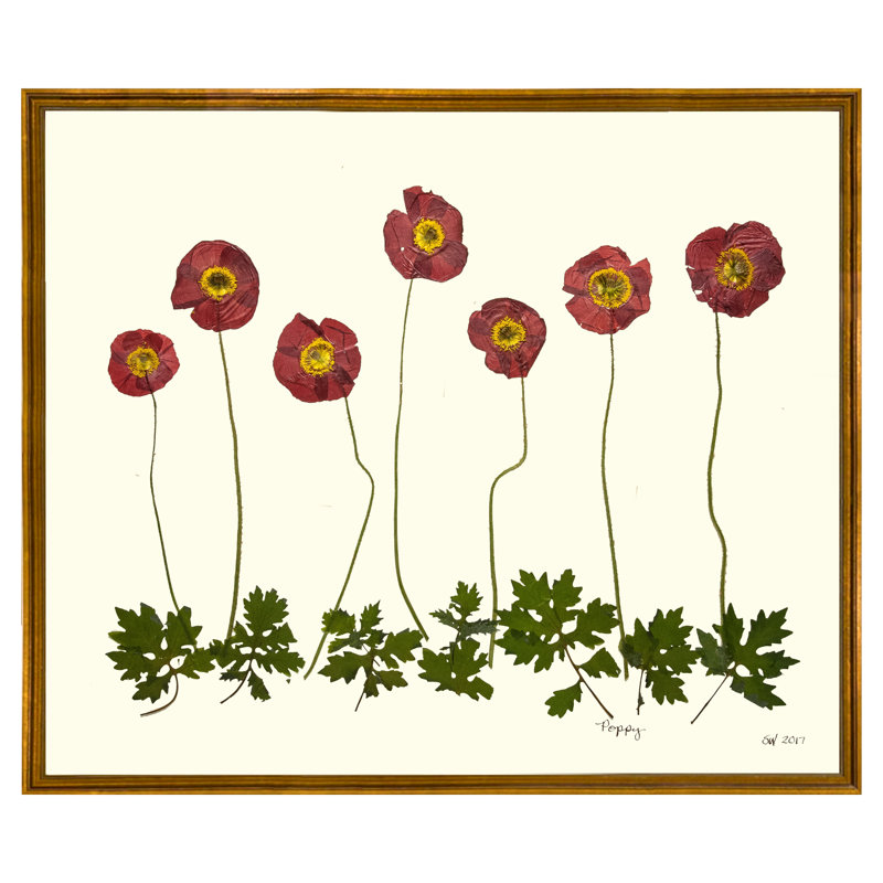 Poppy Garden Print by Sandy Whitaker, Antique Gold, 21.25" H x 25.25" W