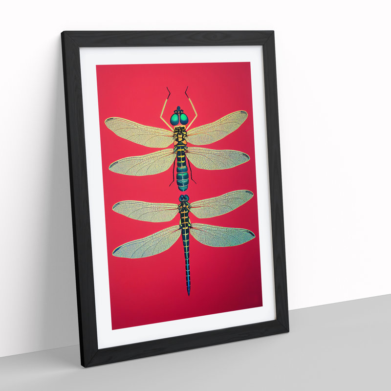 Two Pretty Dragonflies - Print, Black Picture Frame, 66cm H x 48cm W, White