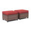 Repose-pieds d'extérieur en osier avec coussin Ramsdell (PE) 25 po-1278032472