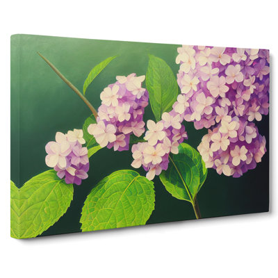 Gorgeous Hydrangea Flowers - Wrapped Canvas