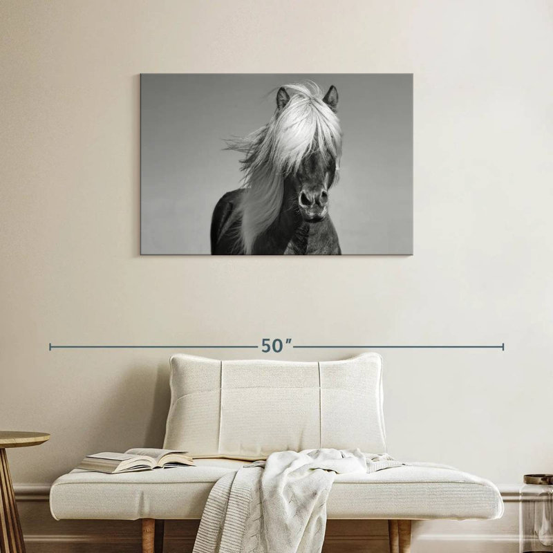 Brampt Pony, 24" H x 36" W