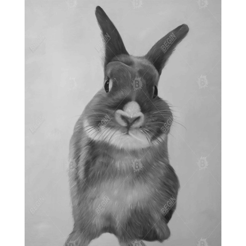 Funny Gray Rabbit Print On Canvas, Black Framed Canvas, 60" H x 48" W