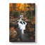 Woodland Stream - Wrapped Canvas-56667546