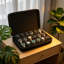 Watch Box +