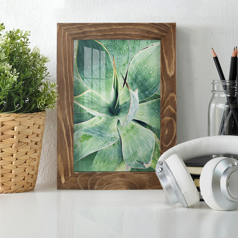 «Green Tropical Succulent I», reproduction de cadre photo simple, H 6 po x l 4 po x P 1 po, Noyer