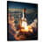Black Floater Framed