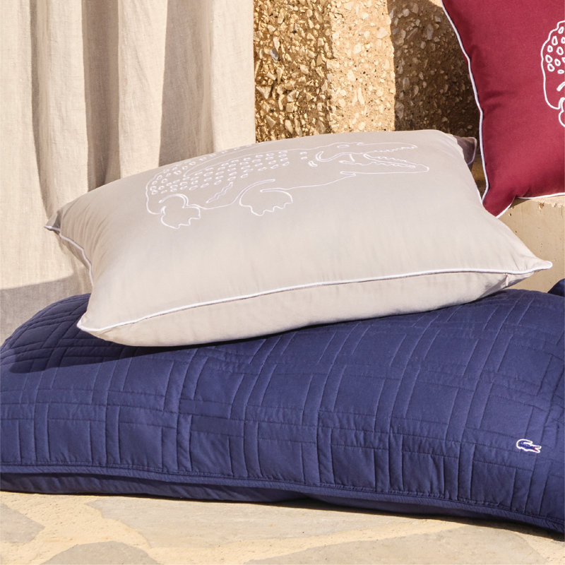 Coussin décoratif brodé Lacoch, Gris