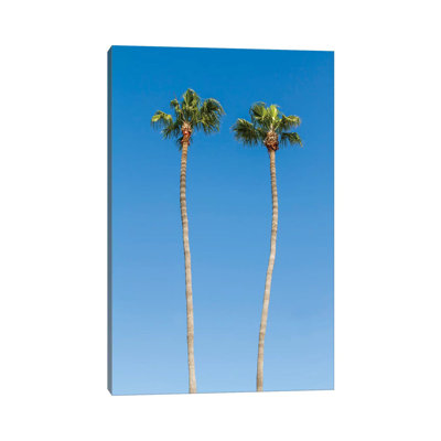 Palm Trees 1 Piece Wrapped Canvas Wall Art