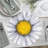 Floral Novelty Placemat