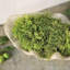 Handmade Planter-13913320