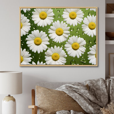 Fields Of White Daisy Florescence Dreams I