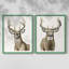 Impression encadrée Handsome Whitetail I-Premium - prête à être accrochée - aucun clou requis - aucun clou requis-405950744-405950745