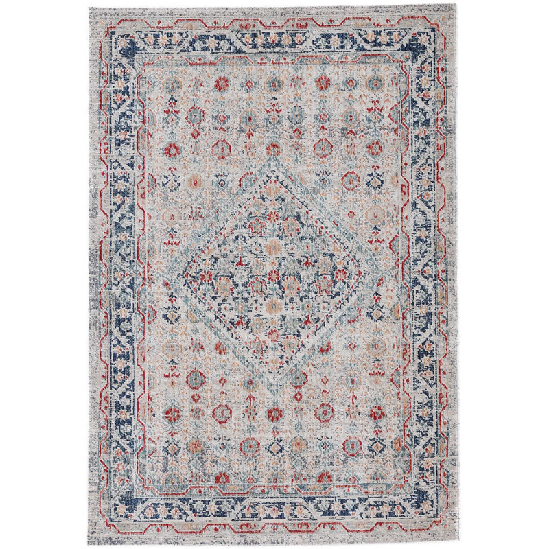 Noah Oriental Area Rug, Rectangle 80 x 150cm