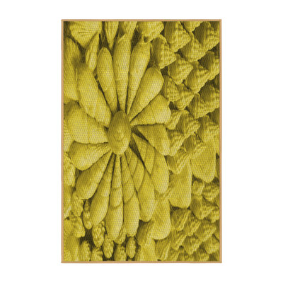 Pavone Indoor Rug