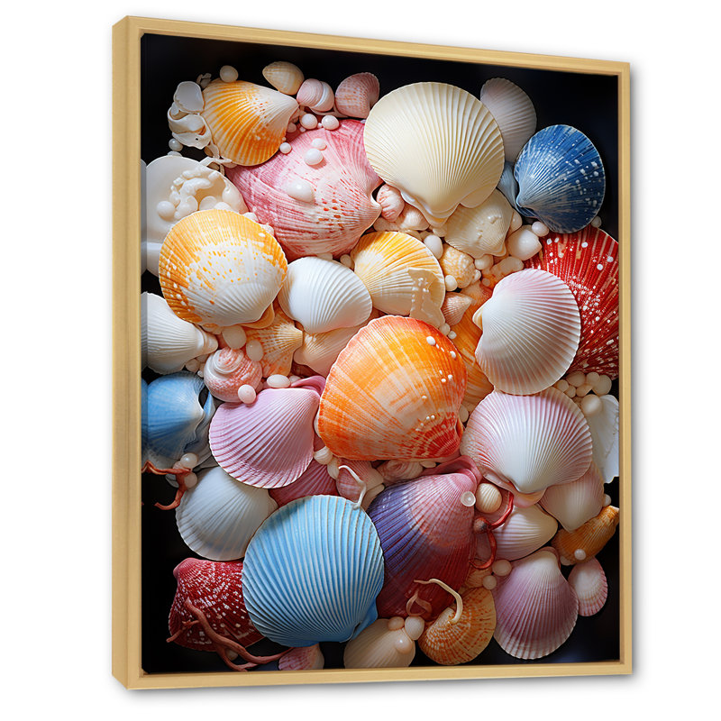 Coquillages sur une marée de rêve sur toile, Cadre naturel flottant, H 40 po x l 30 po