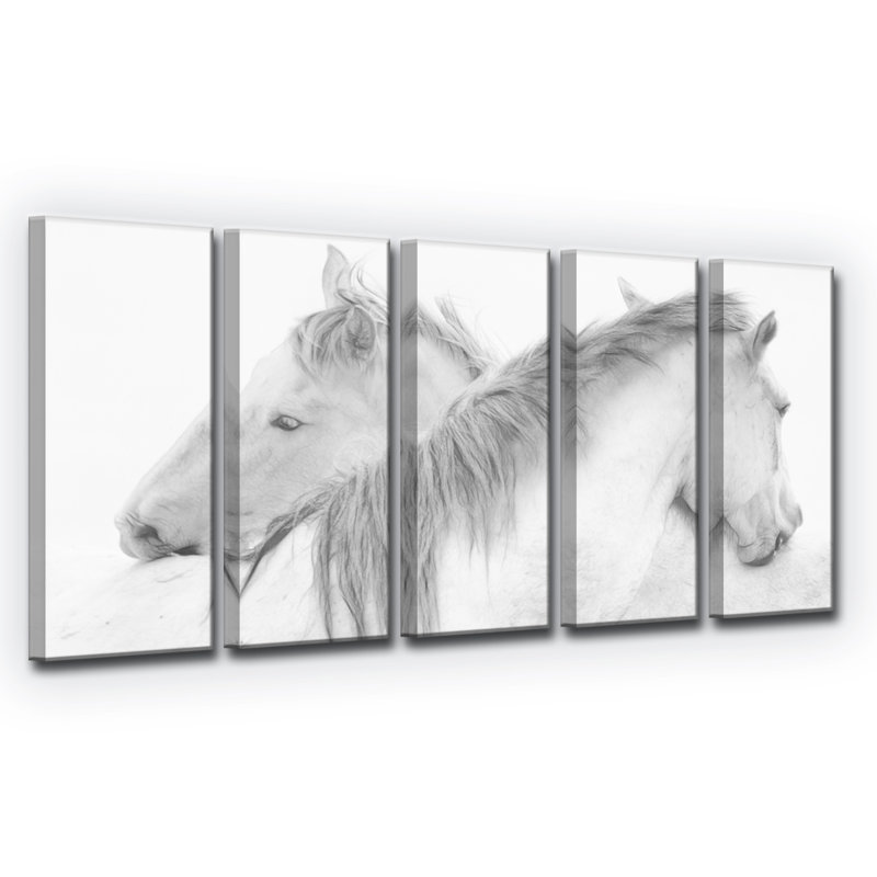 « chevaux », reproduction de photo à multiples images sur toile