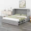 Dyemond Storage Bed-1902310482-1902310492