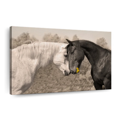 «Sweet Black and White Horses», reproduction sur toile