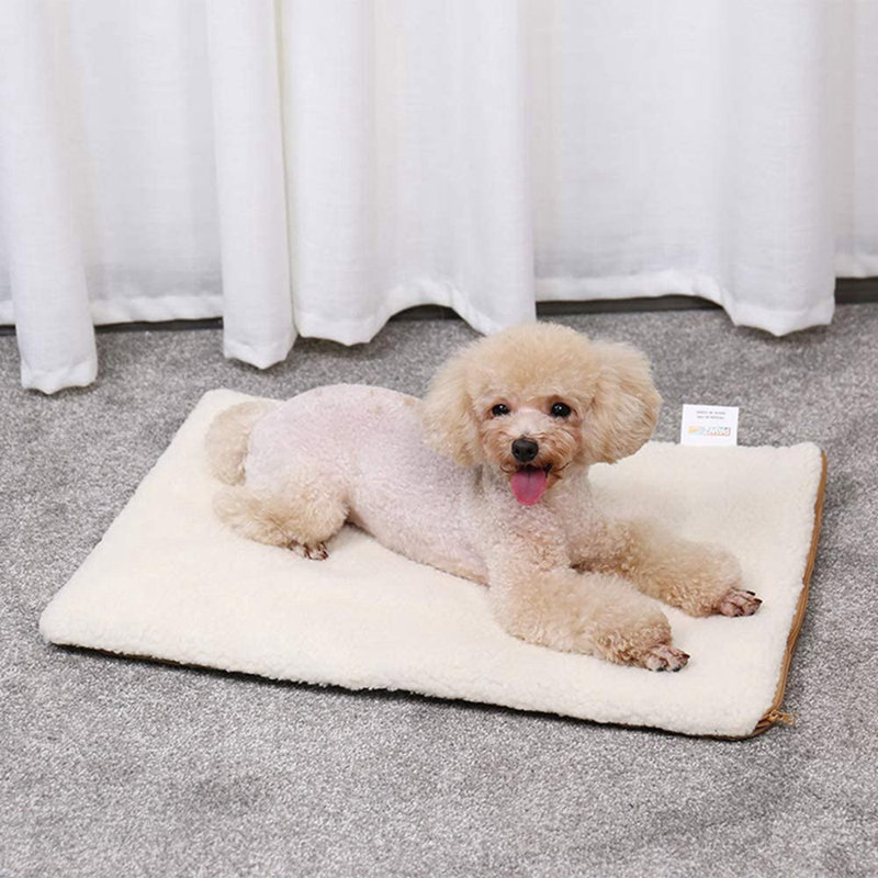 Ensemble de 2 housses pour chat / chien auto-chauffant, Beige