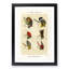 Bass Fishing Flies Versions 8 by Mary Orvis Marbury - Picture Frame Painting Print-55683764-55683760