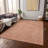 Washable Floral Indoor / Outdoor Rug-646382306
