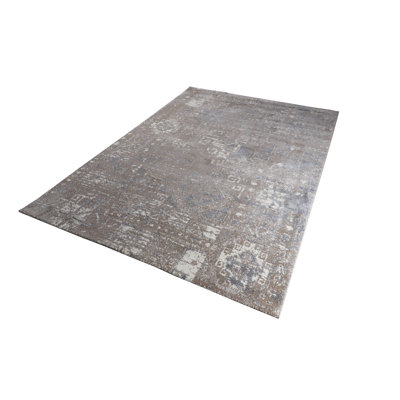 Zaiden Oriental Hand Woven Area Rug