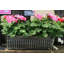 Yasmine Planter Box-15753300-15753299
