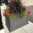 Anastasiya 20'' H x 36'' W Double-Walled Polyethylene Self-Watering Pot Planter-1103441261