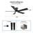 Georgann Ceiling Fan with LED Lights-446812564