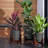Ebern Modern Resin Pot Planter with Wooden Stand-1843114442-1839056885