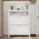 Shoe Cabinet With 2 Flip Drawers and Open Area