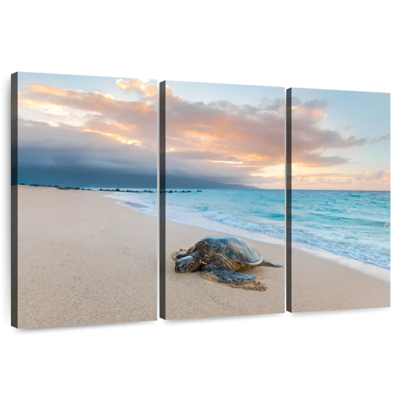 Turtle Sunset, 20" H x 33" W
