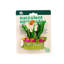 Succulent MiniGarden, petit animal
