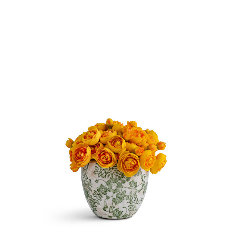 Baby Ranunculus, Yellow