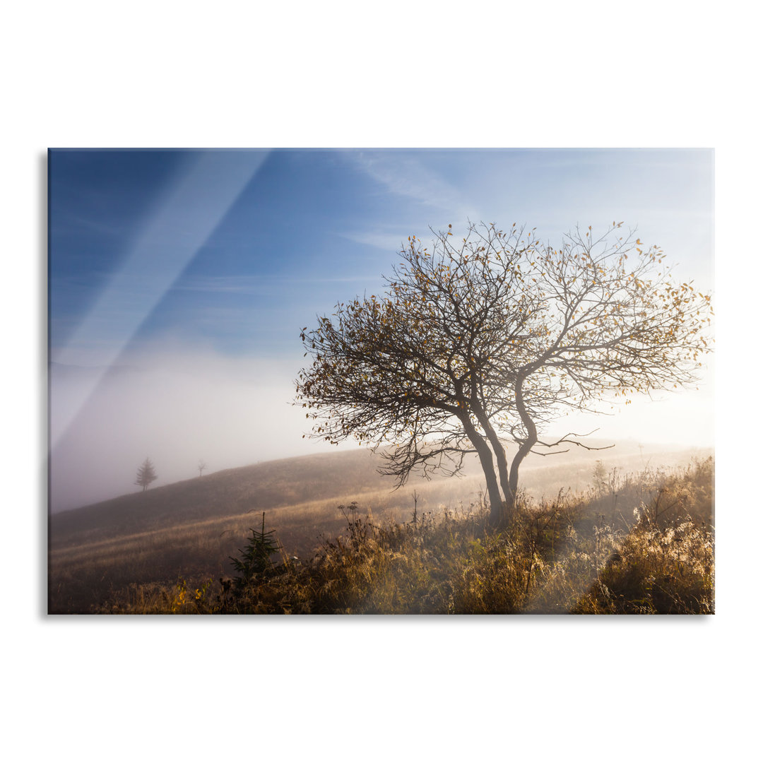 Glasbild Baum im Hohen Gras