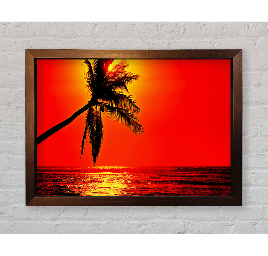 Palmtree Sunblaze Gerahmter Druck