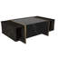 Akkaya Sled Coffee Table with Storage