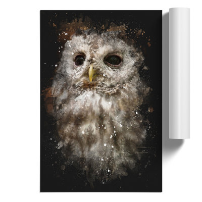 Tawny Owl Paint Splash - Frameless Print