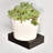 Deserie 3 Piece Square Floating Shelf-1145433550